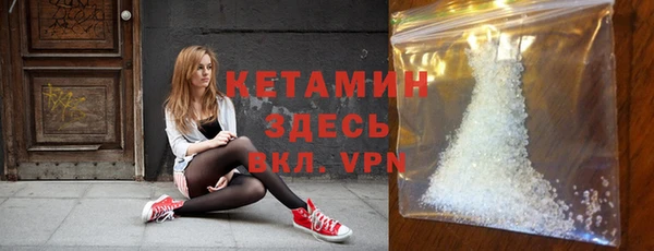 индика Горняк