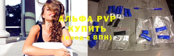 индика Горняк