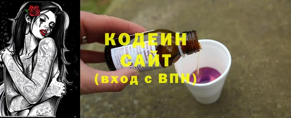 индика Горняк