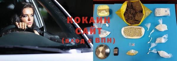 индика Горняк