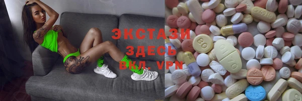 индика Горняк