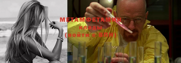 индика Горняк
