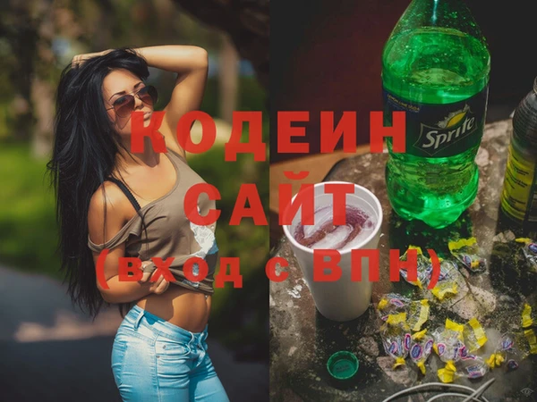 индика Горняк