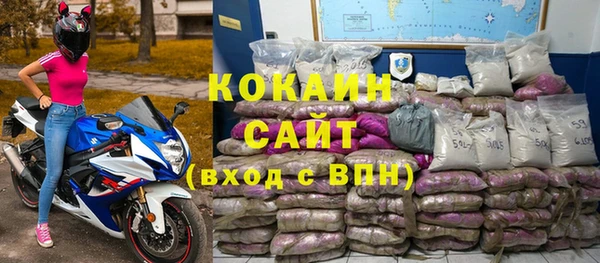 индика Горняк