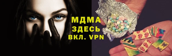 индика Горняк