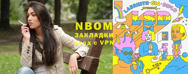 индика Горняк