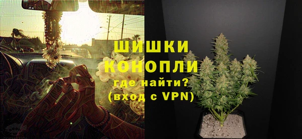 индика Горняк