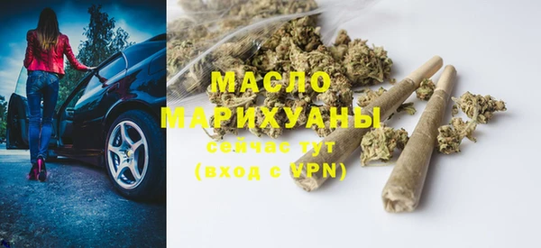 индика Горняк