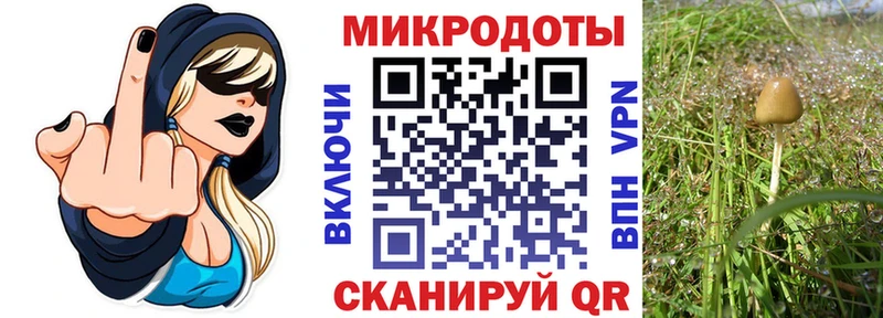 Галлюциногенные грибы ЛСД  Купить  Тында 
